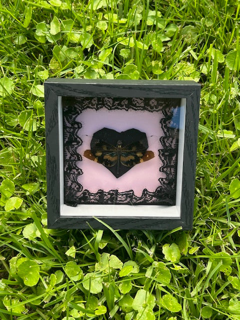 Small Dragonly Insect Frame - Inside Black Lace with Black Heart in Center