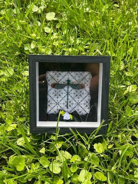 Small Dragonfly Insect Frame - Black Ribbon Trim with Black Bow and White Rose and White Ornamental Background