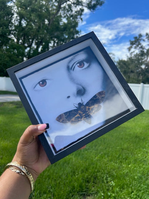 Death's Head Hawk Moth Insect Frame - Silence of the Lambs Theme