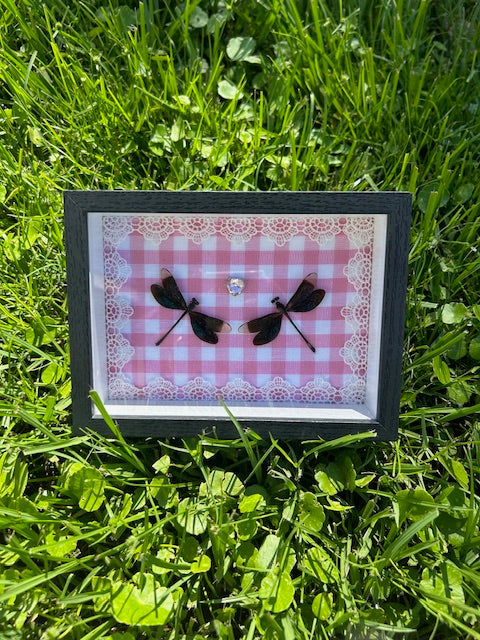 Double Small Dragonfly Insect Frame - White Lace with Pink Gem and Gingham Background