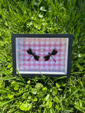 Double Small Dragonfly Insect Frame - White Lace with Pink Gem and Gingham Background
