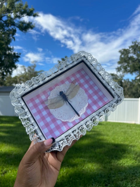 Large Dragonfly Insect Frame - Outside Pink Lace, White Doily with Pink Gingham Background