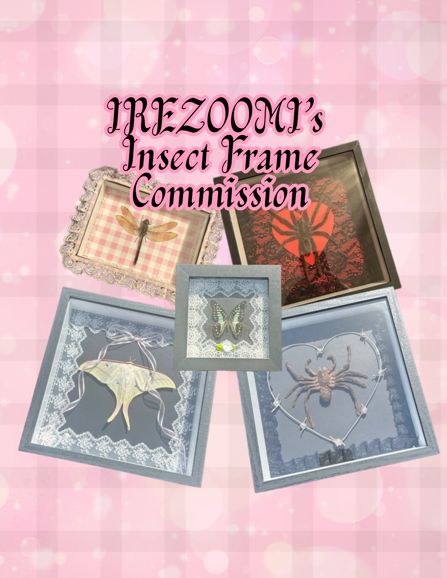 Commission Insect Frames